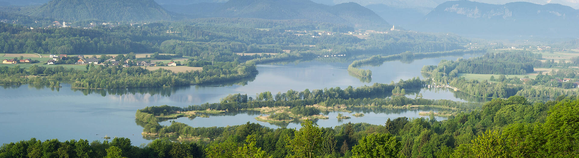 Frühsommer an der Drau