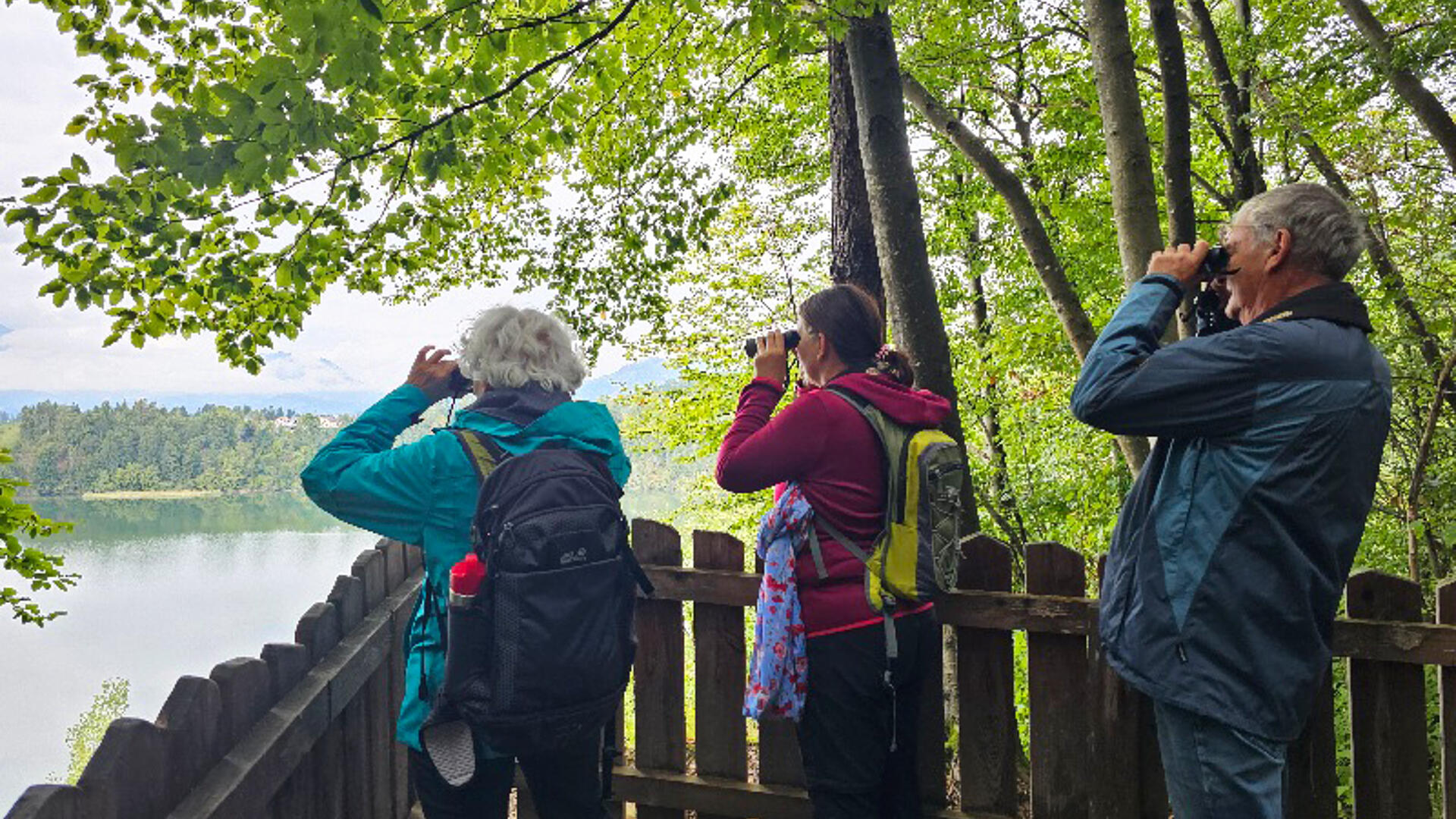 Gruppe beim Birdwatching an der Wernberger Drauschleife