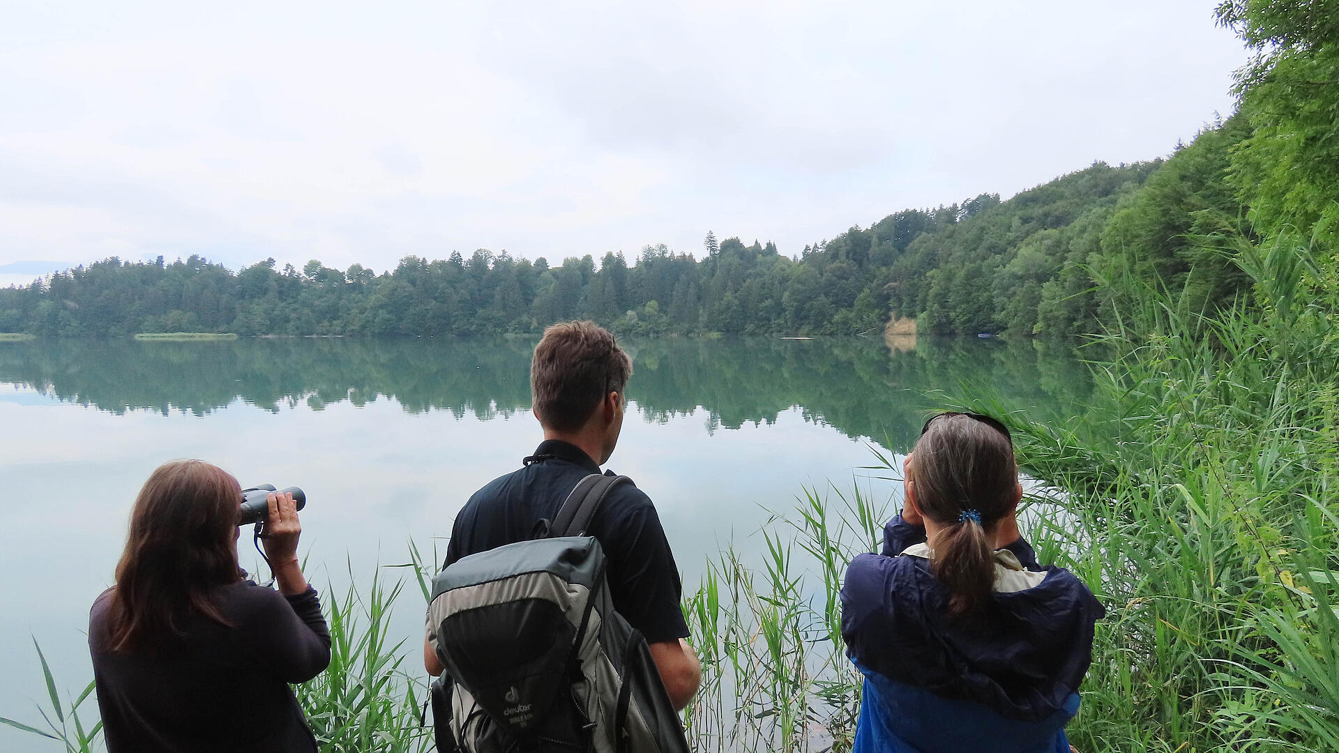 Gruppe beim Birdwatching an der Wernberger Drauschleife