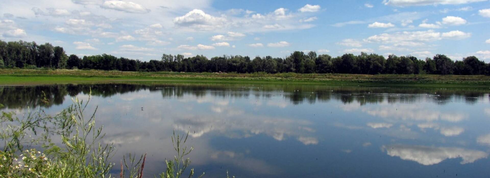 Ormoško jezero