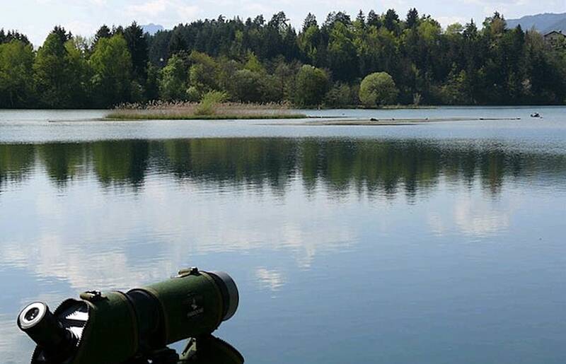 Drauradweg Bird Watching in Wernberg